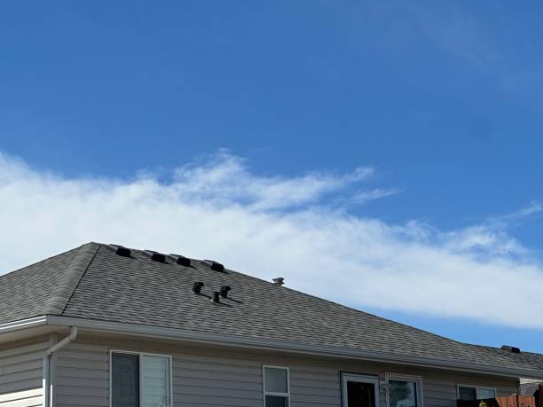 Best Tile Roofing Installation  in Pequot Lakes, MN